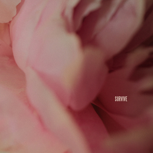 人与人69❌❌❌
