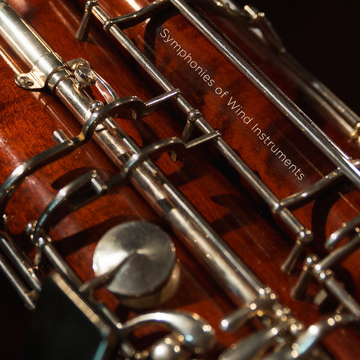 人与人69❌❌❌
